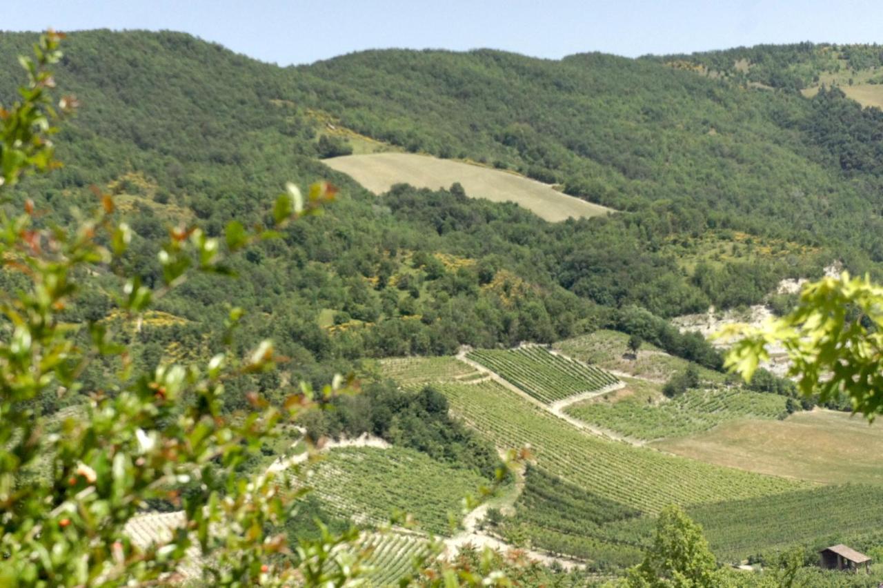 Camia Villa Torrazza Coste Exterior foto